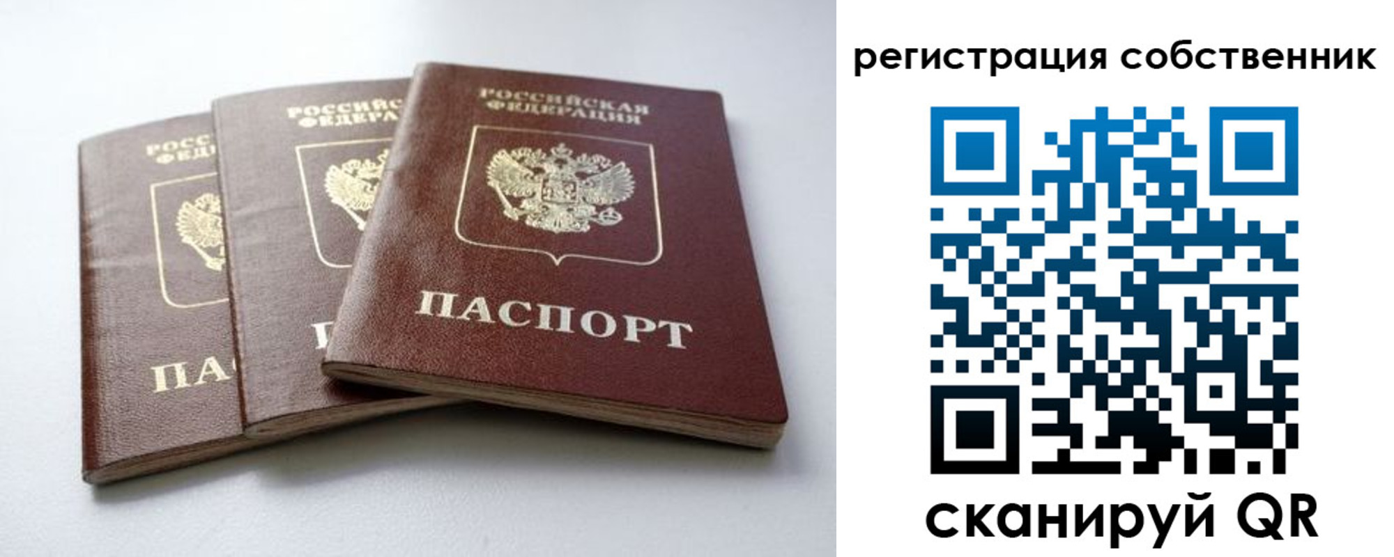 прописка для школы в Ирбите